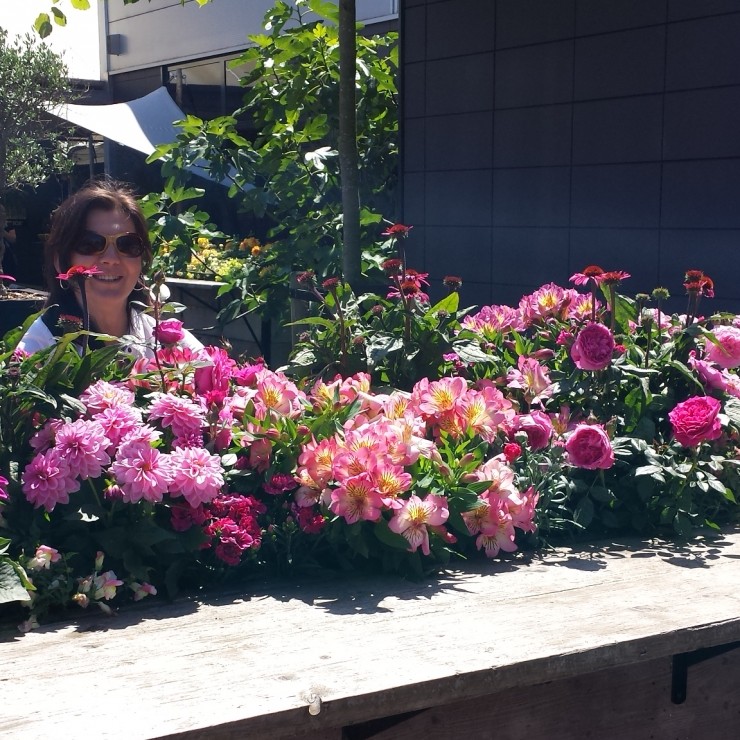 Flower Trials 2017