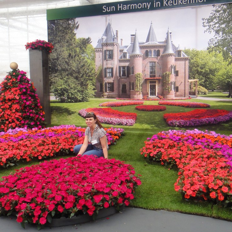 Flower Trials Holland 2014