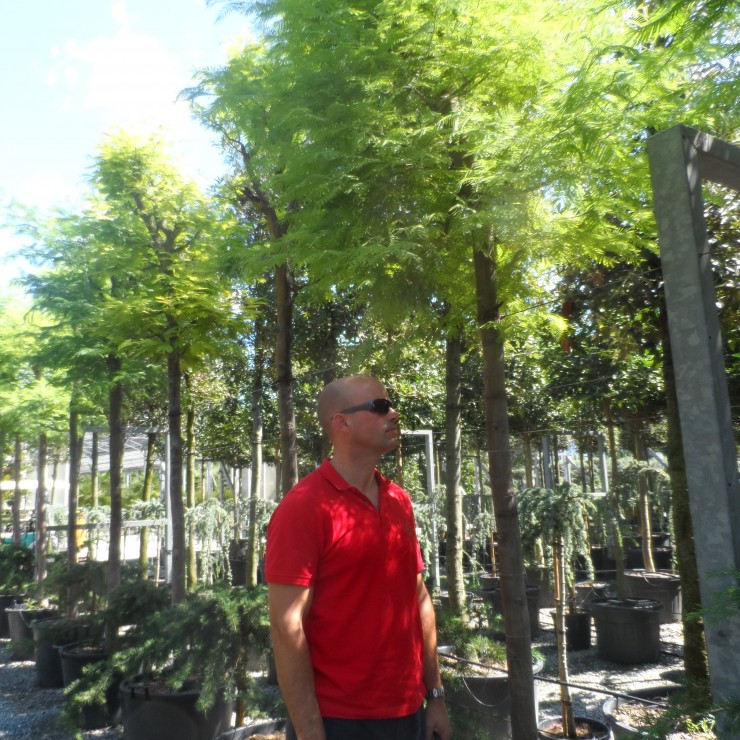 Padraig in Italy 2015