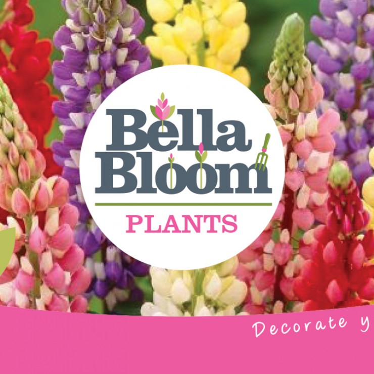 Bloom 2020 - Irelands Largest Gardening Festival