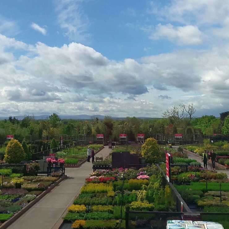 Tully Nurseries Company Profile