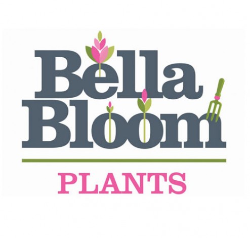 bellabloom logo square